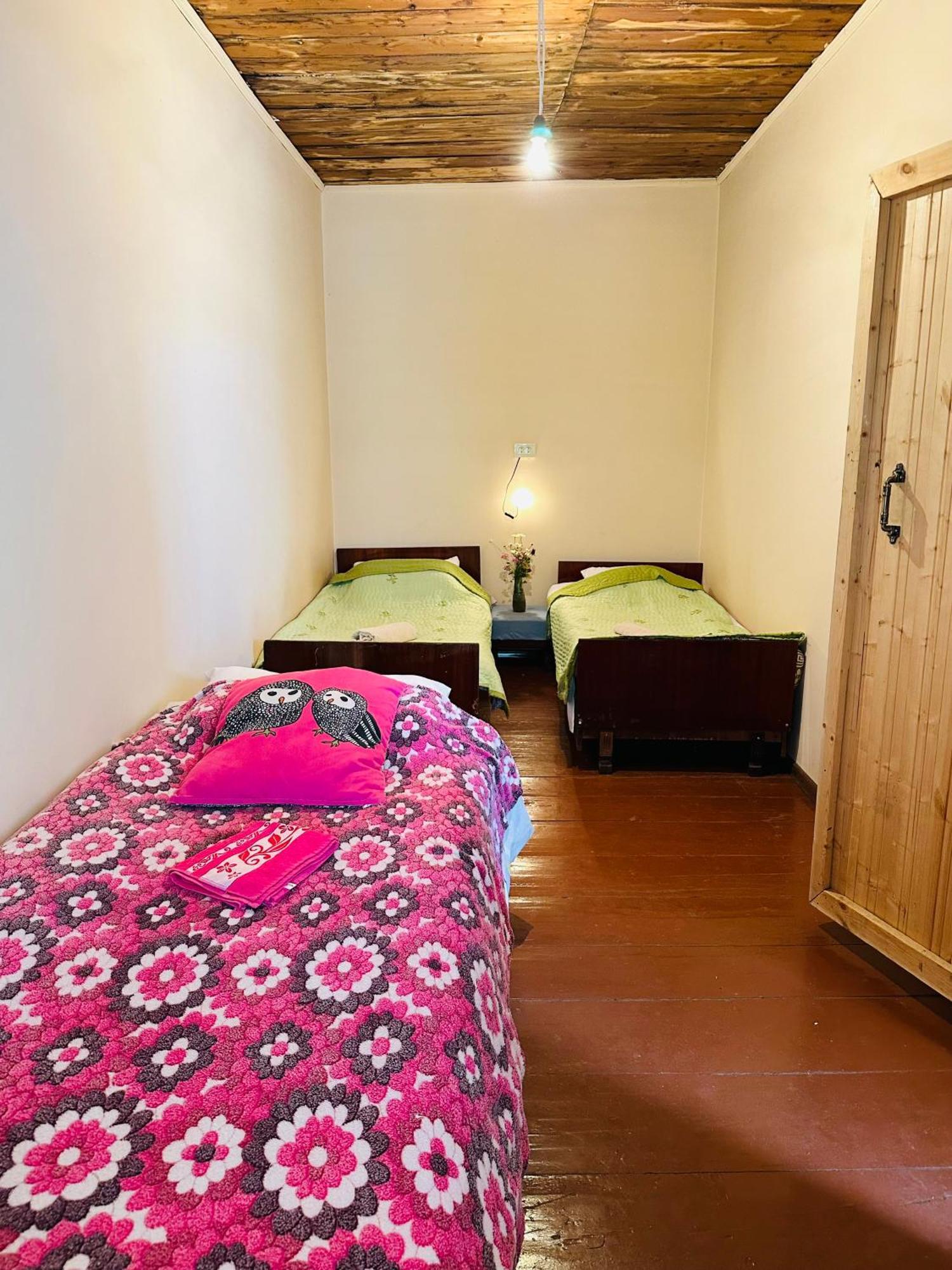 Tamazi Guest House Adishi Exterior foto